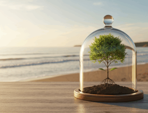 Securing Your Legacy: The Essential Role of Life Insurance in Estate Planning