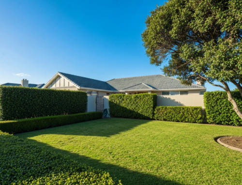 Peace of Mind for Your Home: Understanding Homeowners Insurance Coverage and Exclusions with Beach Insurance LLC