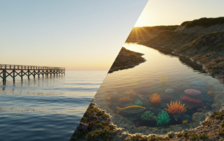 Term Life vs. Whole Life Insurance: Key Differences